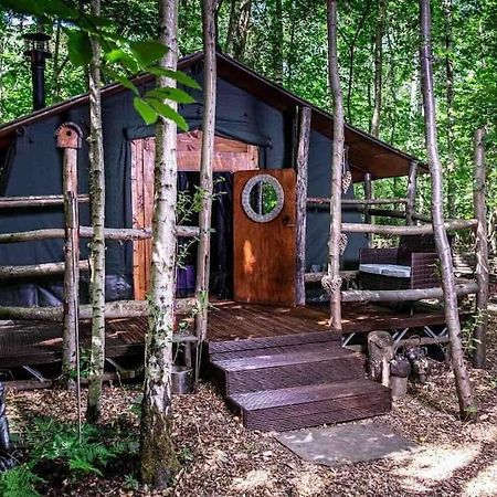 Cosy Woodland Romantic Retreat With Log Fires And Nature Sturry Ngoại thất bức ảnh