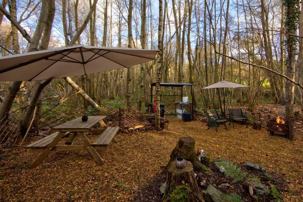 Cosy Woodland Romantic Retreat With Log Fires And Nature Sturry Ngoại thất bức ảnh