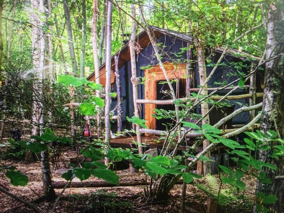 Cosy Woodland Romantic Retreat With Log Fires And Nature Sturry Ngoại thất bức ảnh