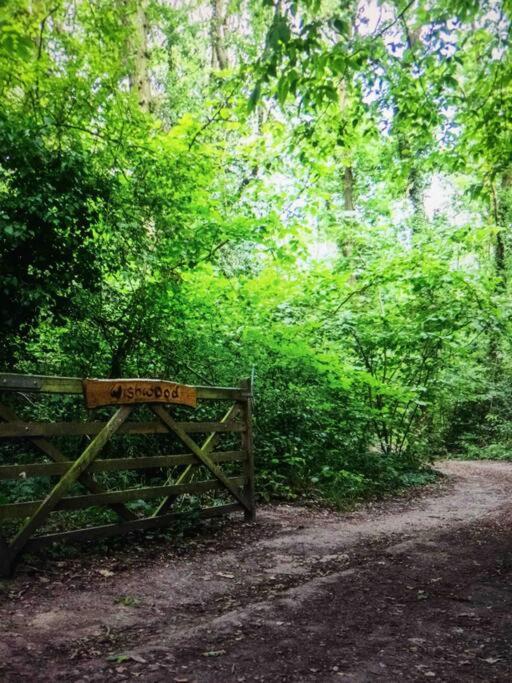 Cosy Woodland Romantic Retreat With Log Fires And Nature Sturry Ngoại thất bức ảnh