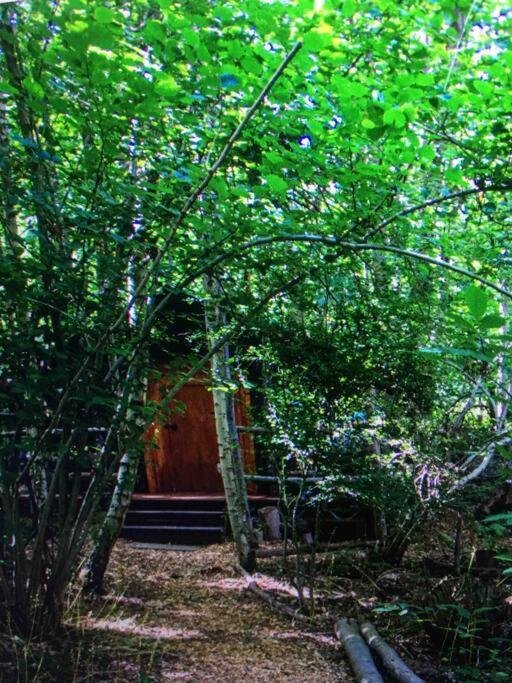 Cosy Woodland Romantic Retreat With Log Fires And Nature Sturry Ngoại thất bức ảnh