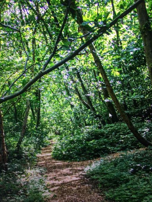 Cosy Woodland Romantic Retreat With Log Fires And Nature Sturry Ngoại thất bức ảnh