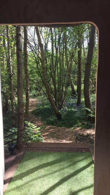 Cosy Woodland Romantic Retreat With Log Fires And Nature Sturry Ngoại thất bức ảnh