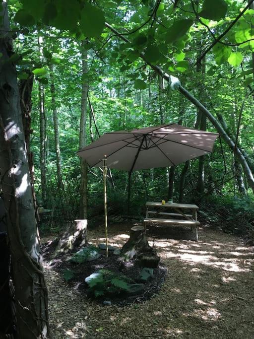 Cosy Woodland Romantic Retreat With Log Fires And Nature Sturry Ngoại thất bức ảnh