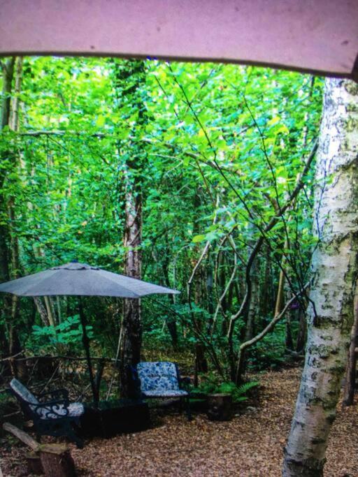Cosy Woodland Romantic Retreat With Log Fires And Nature Sturry Ngoại thất bức ảnh