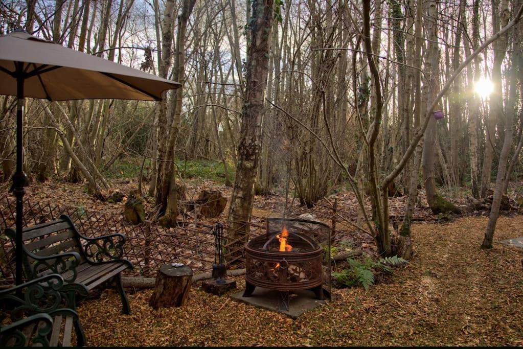 Cosy Woodland Romantic Retreat With Log Fires And Nature Sturry Ngoại thất bức ảnh
