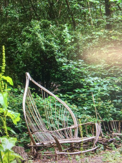 Cosy Woodland Romantic Retreat With Log Fires And Nature Sturry Ngoại thất bức ảnh